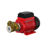 Lamelová čerpadla s mechanickou ucpávkou DS, DS-MK Lamelová čerpadla s mechanickou ucpávkou DS, DS-MK